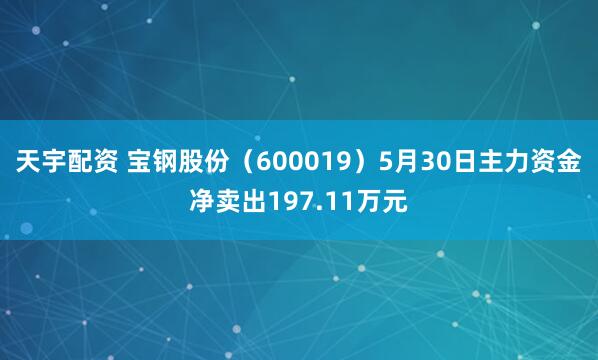 天宇配资 宝钢股份（600019）5月30日主力资金净卖出197.11万元