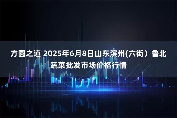 方圆之道 2025年6月8日山东滨州(六街）鲁北蔬菜批发市场价格行情