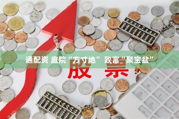 通配资 庭院“方寸地” 致富“聚宝盆”