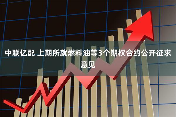 中联亿配 上期所就燃料油等3个期权合约公开征求意见