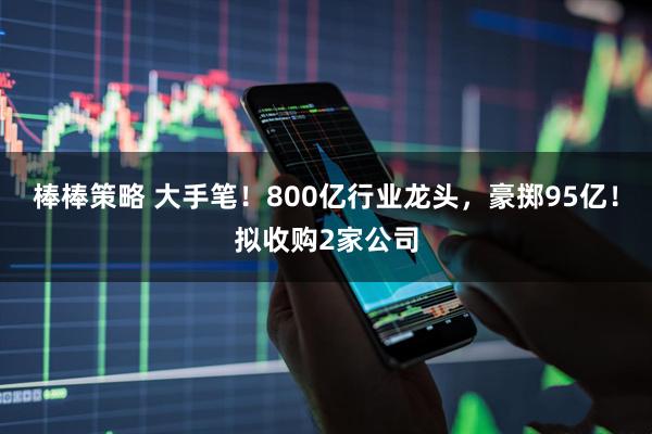 棒棒策略 大手笔！800亿行业龙头，豪掷95亿！拟收购2家公司