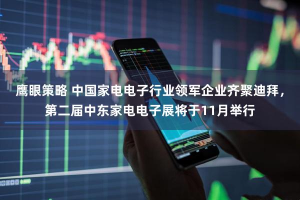 鹰眼策略 中国家电电子行业领军企业齐聚迪拜，第二届中东家电电子展将于11月举行