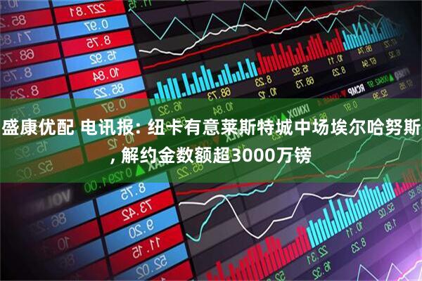 盛康优配 电讯报: 纽卡有意莱斯特城中场埃尔哈努斯, 解约金数额超3000万镑