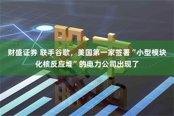 财盛证券 联手谷歌，美国第一家签署“小型模块化核反应堆”的电力公司出现了
