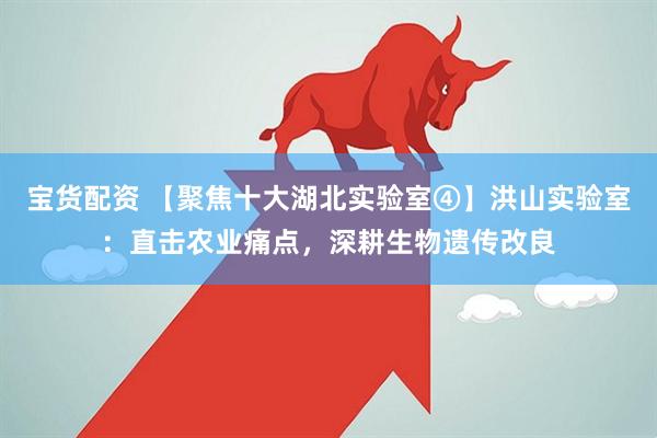 宝货配资 【聚焦十大湖北实验室④】洪山实验室：直击农业痛点，深耕生物遗传改良